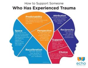 which of the following behaviors align with trauma-informed care